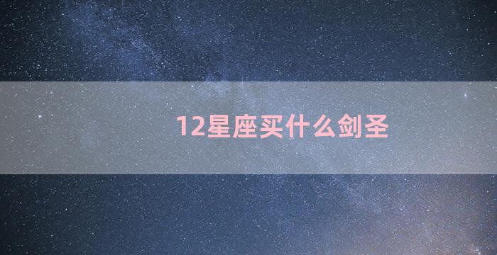 12星座买什么剑圣