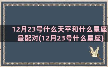 12月23号什么天平和什么星座最配对(12月23号什么星座)