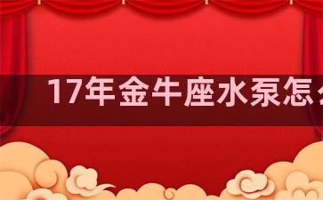 17年金牛座水泵怎么拆