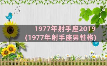 1977年射手座2019(1977年射手座男性格)