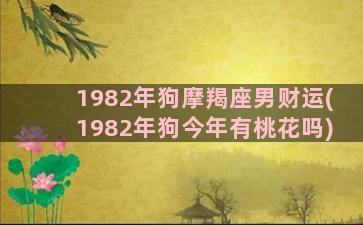 1982年狗摩羯座男财运(1982年狗今年有桃花吗)