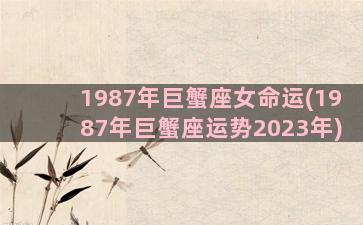 1987年巨蟹座女命运(1987年巨蟹座运势2023年)