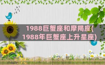 1988巨蟹座和摩羯座(1988年巨蟹座上升星座)