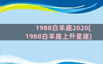 1988白羊座2020(1988白羊座上升星座)