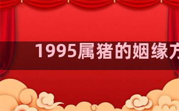 1995属猪的姻缘方位