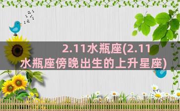 2.11水瓶座(2.11水瓶座傍晚出生的上升星座)