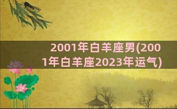 2001年白羊座男(2001年白羊座2023年运气)