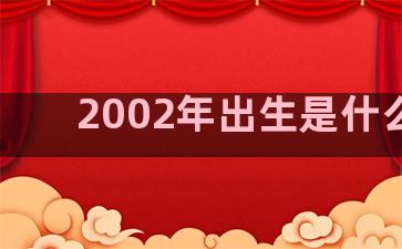 2002年出生是什么星