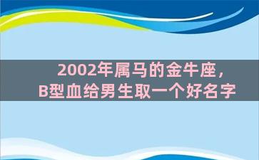 2002年属马的金牛座，B型血给男生取一个好名字