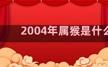 2004年属猴是什么命