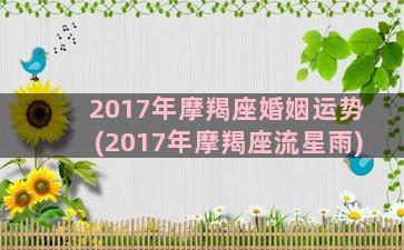 2017年摩羯座婚姻运势(2017年摩羯座流星雨)