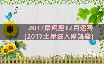 2017摩羯座12月运势(2017土星进入摩羯座)