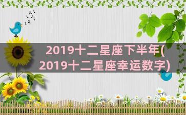 2019十二星座下半年(2019十二星座幸运数字)