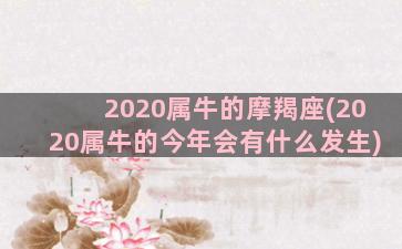 2020属牛的摩羯座(2020属牛的今年会有什么发生)