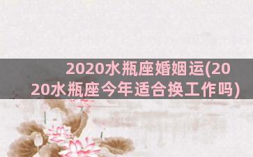 2020水瓶座婚姻运(2020水瓶座今年适合换工作吗)