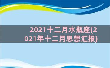 2021十二月水瓶座(2021年十二月思想汇报)