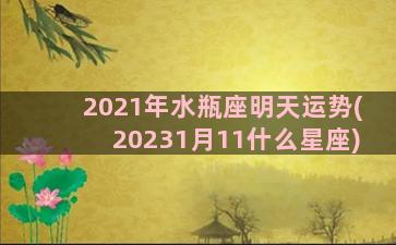 2021年水瓶座明天运势(20231月11什么星座)