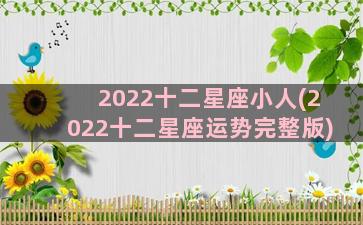 2022十二星座小人(2022十二星座运势完整版)