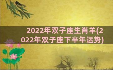 2022年双子座生肖羊(2022年双子座下半年运势)