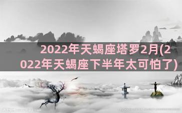 2022年天蝎座塔罗2月(2022年天蝎座下半年太可怕了)