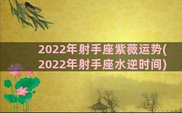 2022年射手座紫薇运势(2022年射手座水逆时间)