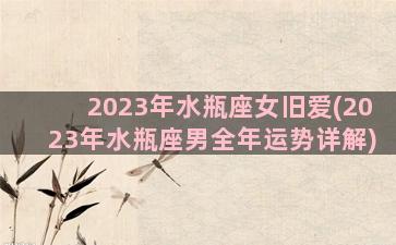 2023年水瓶座女旧爱(2023年水瓶座男全年运势详解)