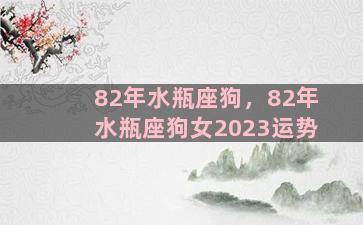 82年水瓶座狗，82年水瓶座狗女2023运势