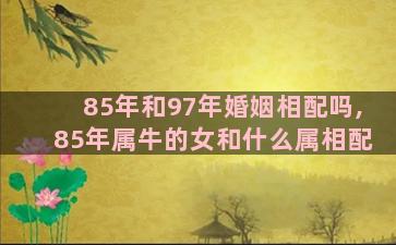 85年和97年婚姻相配吗,85年属牛的女和什么属相配