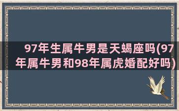 97年生属牛男是天蝎座吗(97年属牛男和98年属虎婚配好吗)