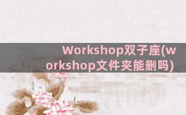 Workshop双子座(workshop文件夹能删吗)