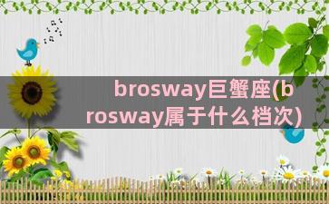 brosway巨蟹座(brosway属于什么档次)