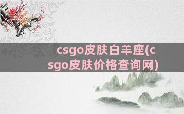 csgo皮肤白羊座(csgo皮肤价格查询网)