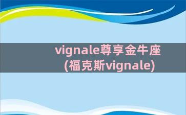 vignale尊享金牛座(福克斯vignale)