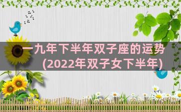 一九年下半年双子座的运势(2022年双子女下半年)