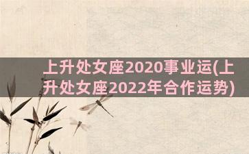 上升处女座2020事业运(上升处女座2022年合作运势)