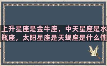 上升星座是金牛座，中天星座是水瓶座，太阳星座是天蝎座是什么性格