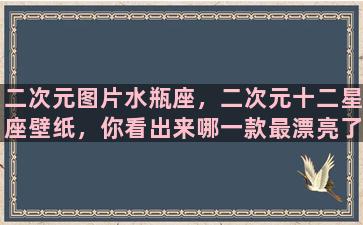 二次元图片水瓶座，二次元十二星座壁纸，你看出来哪一款最漂亮了吗