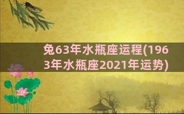 兔63年水瓶座运程(1963年水瓶座2021年运势)