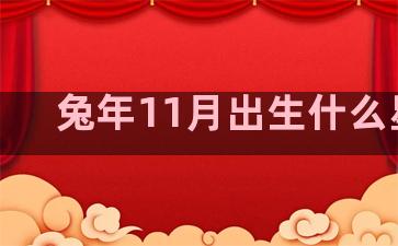 兔年11月出生什么星座