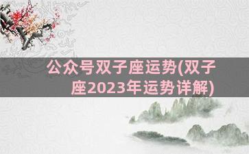 公众号双子座运势(双子座2023年运势详解)