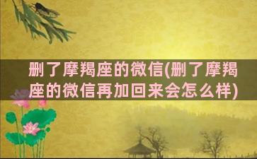 删了摩羯座的微信(删了摩羯座的微信再加回来会怎么样)