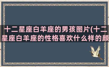 十二星座白羊座的男孩图片(十二星座白羊座的性格喜欢什么样的颜色)