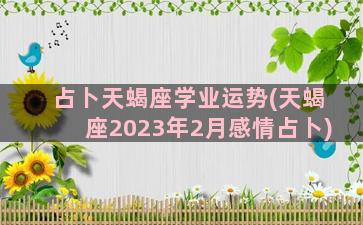 占卜天蝎座学业运势(天蝎座2023年2月感情占卜)