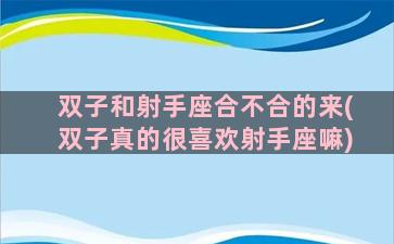 双子和射手座合不合的来(双子真的很喜欢射手座嘛)