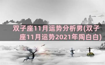 双子座11月运势分析男(双子座11月运势2021年陶白白)