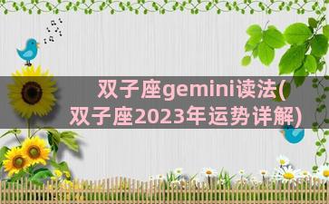 双子座gemini读法(双子座2023年运势详解)