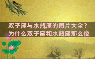 双子座与水瓶座的图片大全？为什么双子座和水瓶座那么像