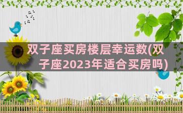 双子座买房楼层幸运数(双子座2023年适合买房吗)