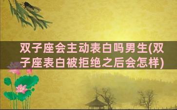 双子座会主动表白吗男生(双子座表白被拒绝之后会怎样)