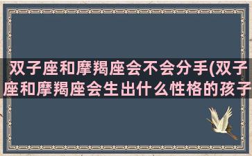 双子座和摩羯座会不会分手(双子座和摩羯座会生出什么性格的孩子)